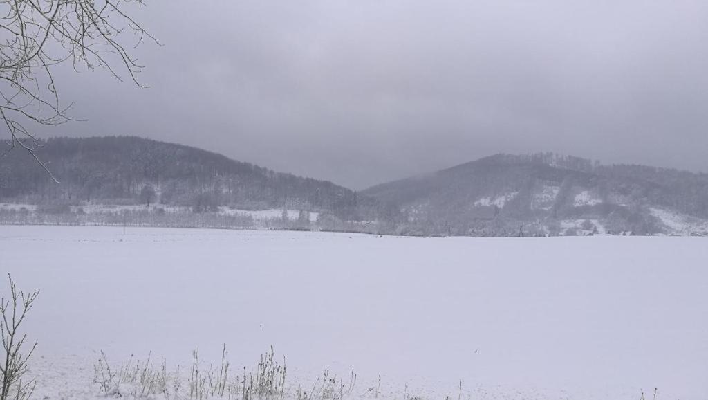 Apartament F21 Deluxe W Bielawie - Widok Na Gory Sowie Bielawa  Exteriör bild